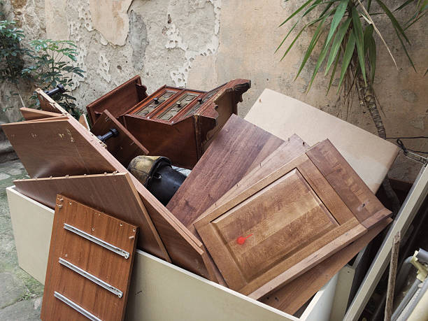 Yard Cleanup Services in Raymond, WI